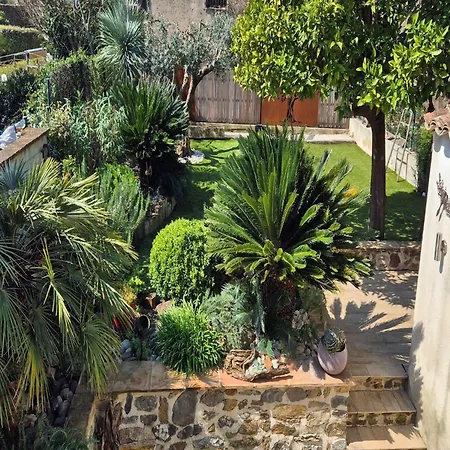 Dans Le Golfe De Saint-tropez Cogolin