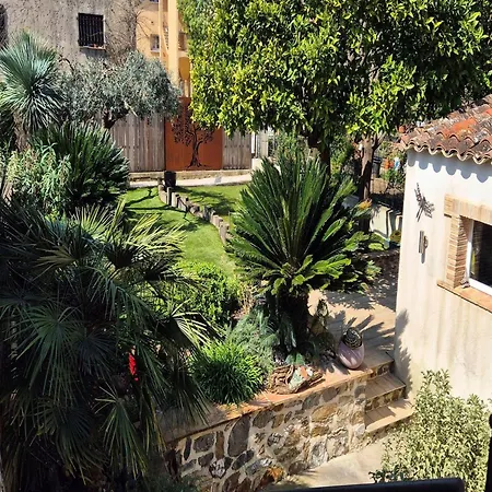 Dans Le Golfe De Saint-tropez קוגולין